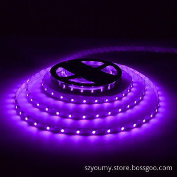 Purple 5050 60 LEDs/m 5m 300-LED Waterproof Light Strips, Christmas Party Decoration, OEM Orders